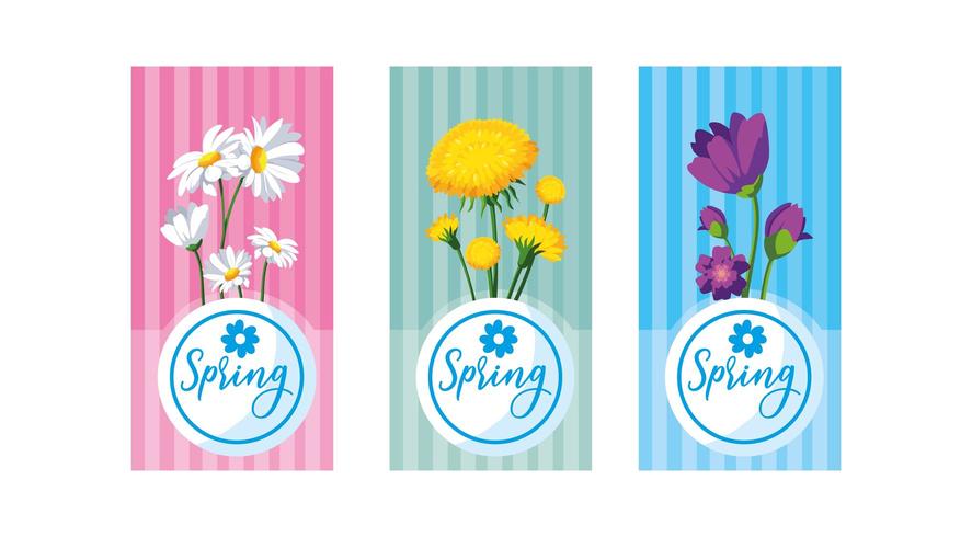 conjunto de flores lindas da primavera cartões vetor