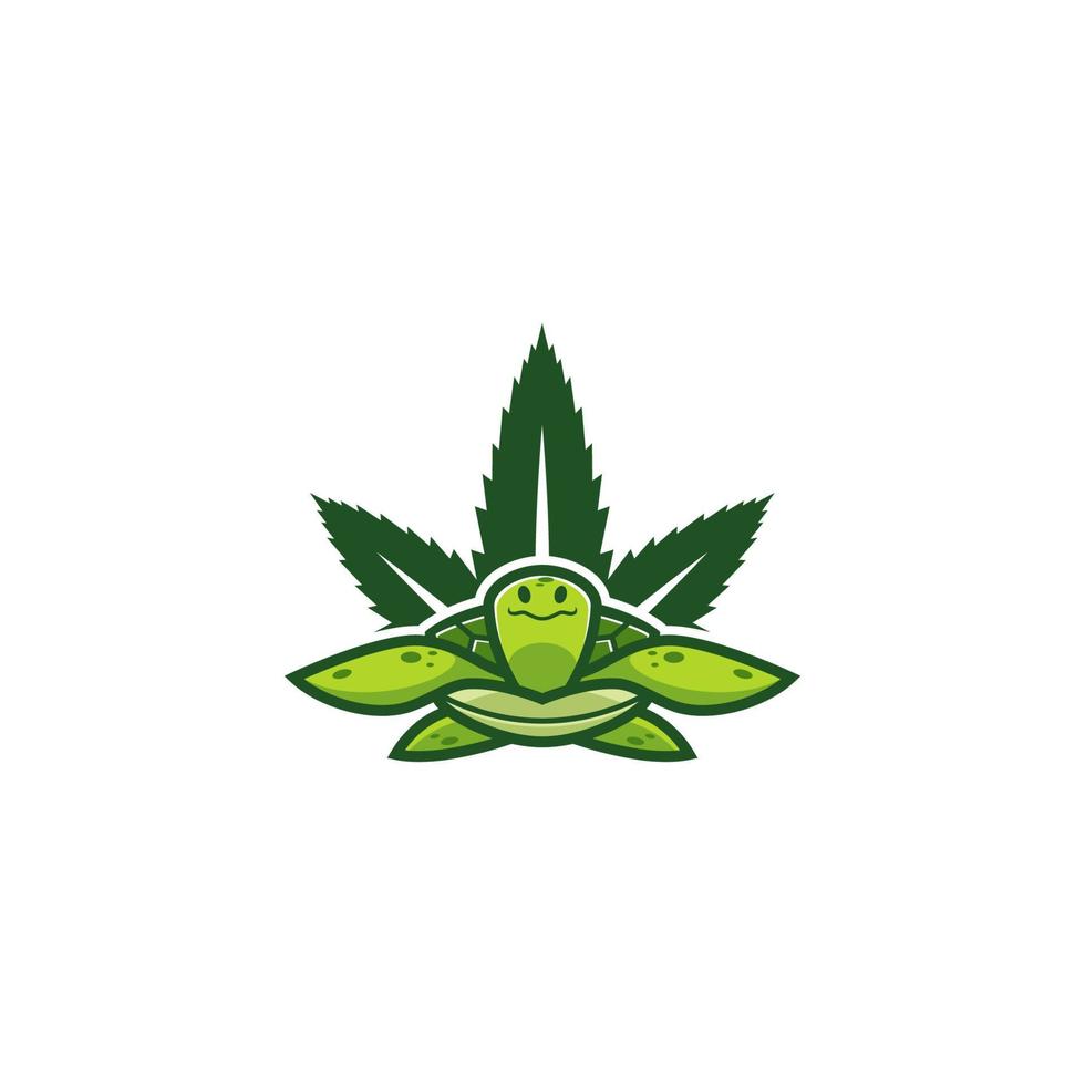 ilustração de conceito de folha de cannabis tartaruga turquesa vetor