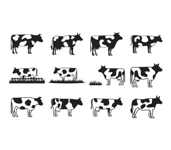 Conjunto de coleta de vaca vetor
