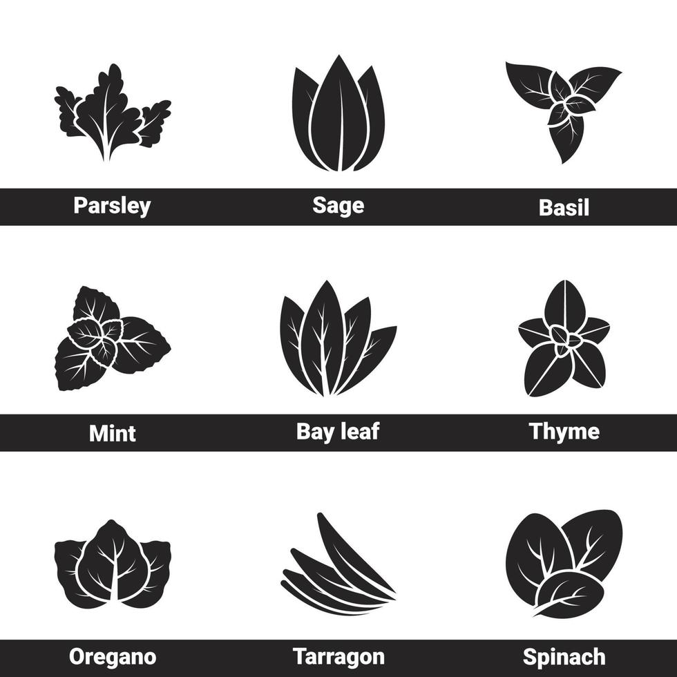 ícones para especiarias e ervas temáticas. fundo branco vetor