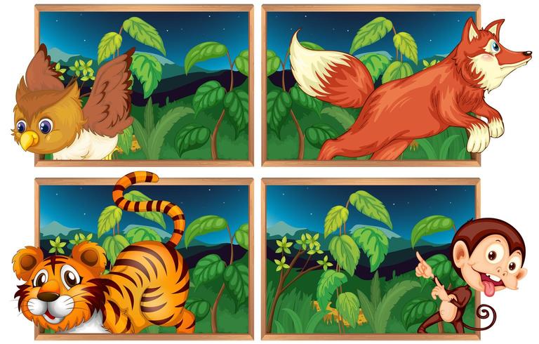 Quatro cenas da floresta com animais selvagens vetor
