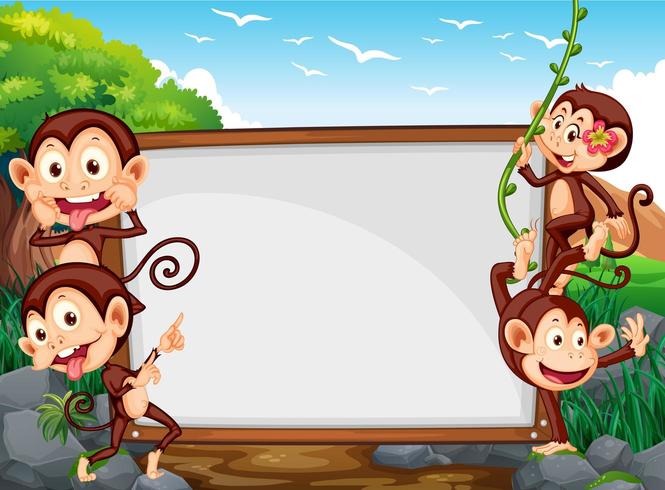 Design de moldura com quatro macacos no campo vetor