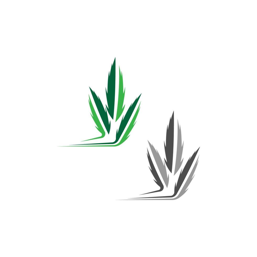 modelo de vetor de design de logotipo de folha de cannabis