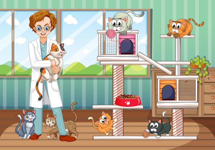 Veterinário e muitos gatos em casa de animais vetor