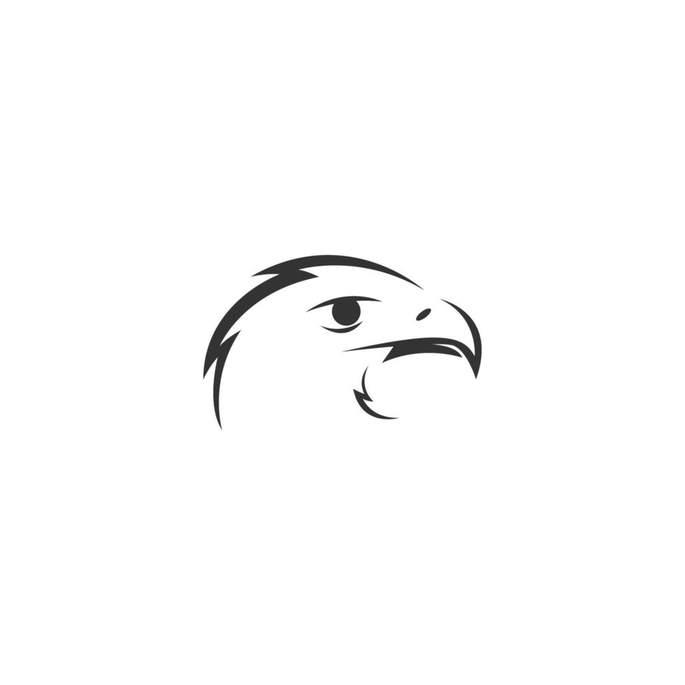 Falcão, modelo de vetor de design de ícone de pássaro de águia