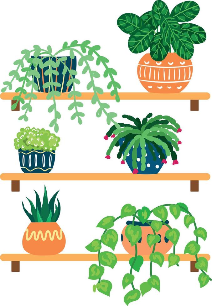 ilustração vetorial de prateleiras com plantas de casa em vasos de flores vetor