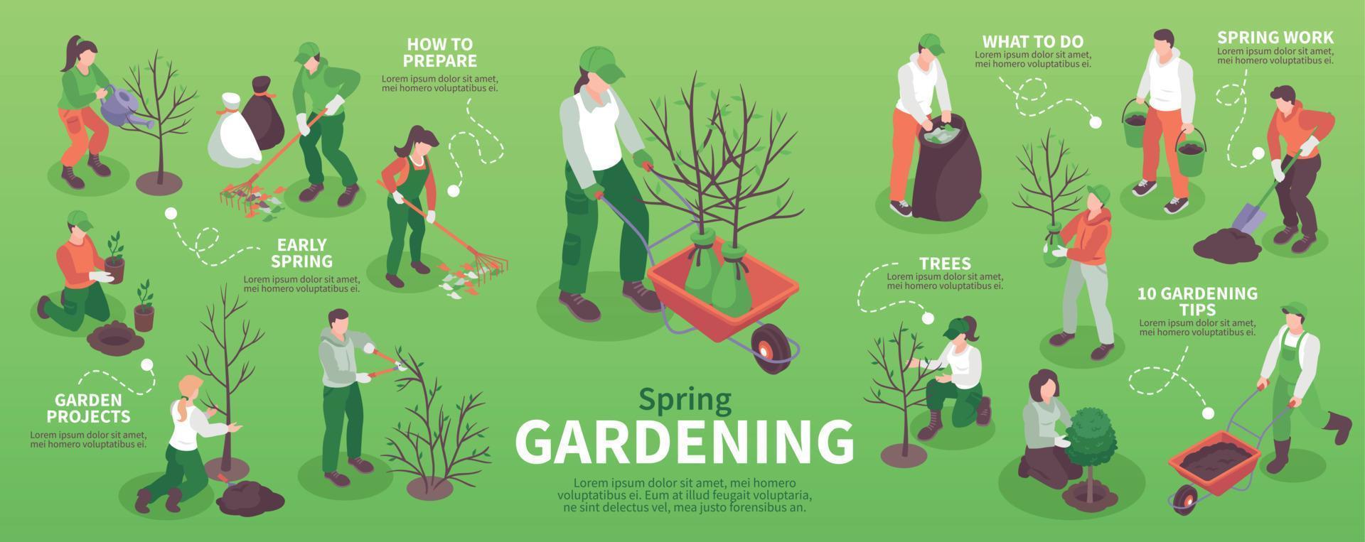 infográficos de jardinagem de primavera vetor