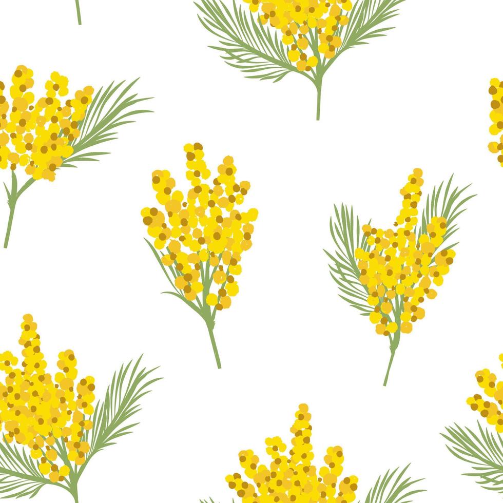 lindas flores amarelas de mimosa e folhas sem costura padrão. 6847564 Vetor  no Vecteezy