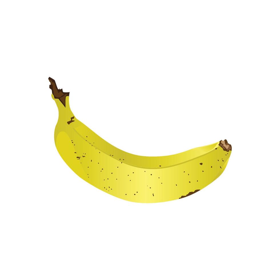 banana realista vetorial boa para catálogo de alimentos, catálogo de frutas etc. vetor