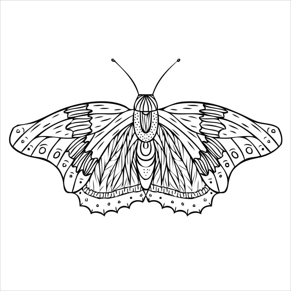 borboleta da noite, mariposa. ilustração desenhada à mão. fundo preto e branco. vetor