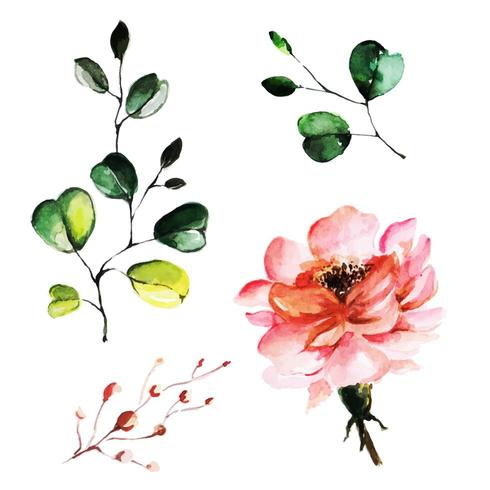 Folhas e bela aquarela floral vetor