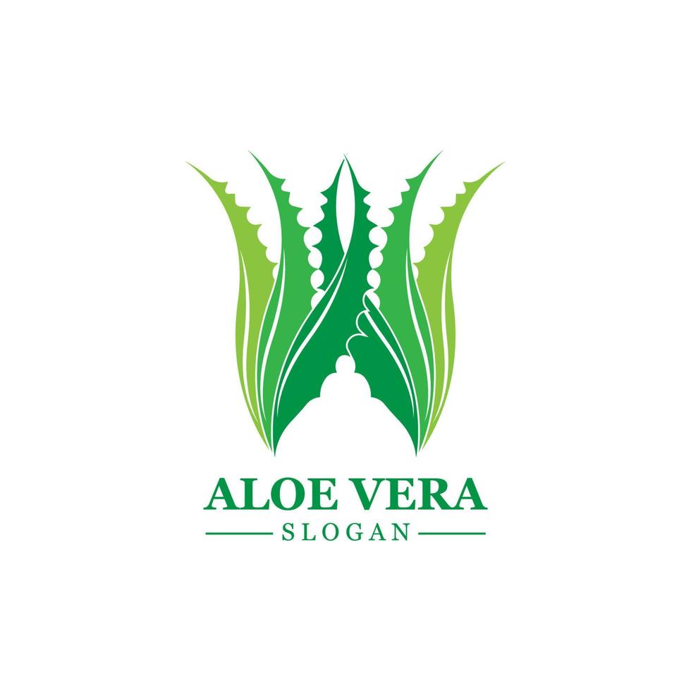 planta verde aloe vera logotipo vetor ícone símbolo muitos benefícios
