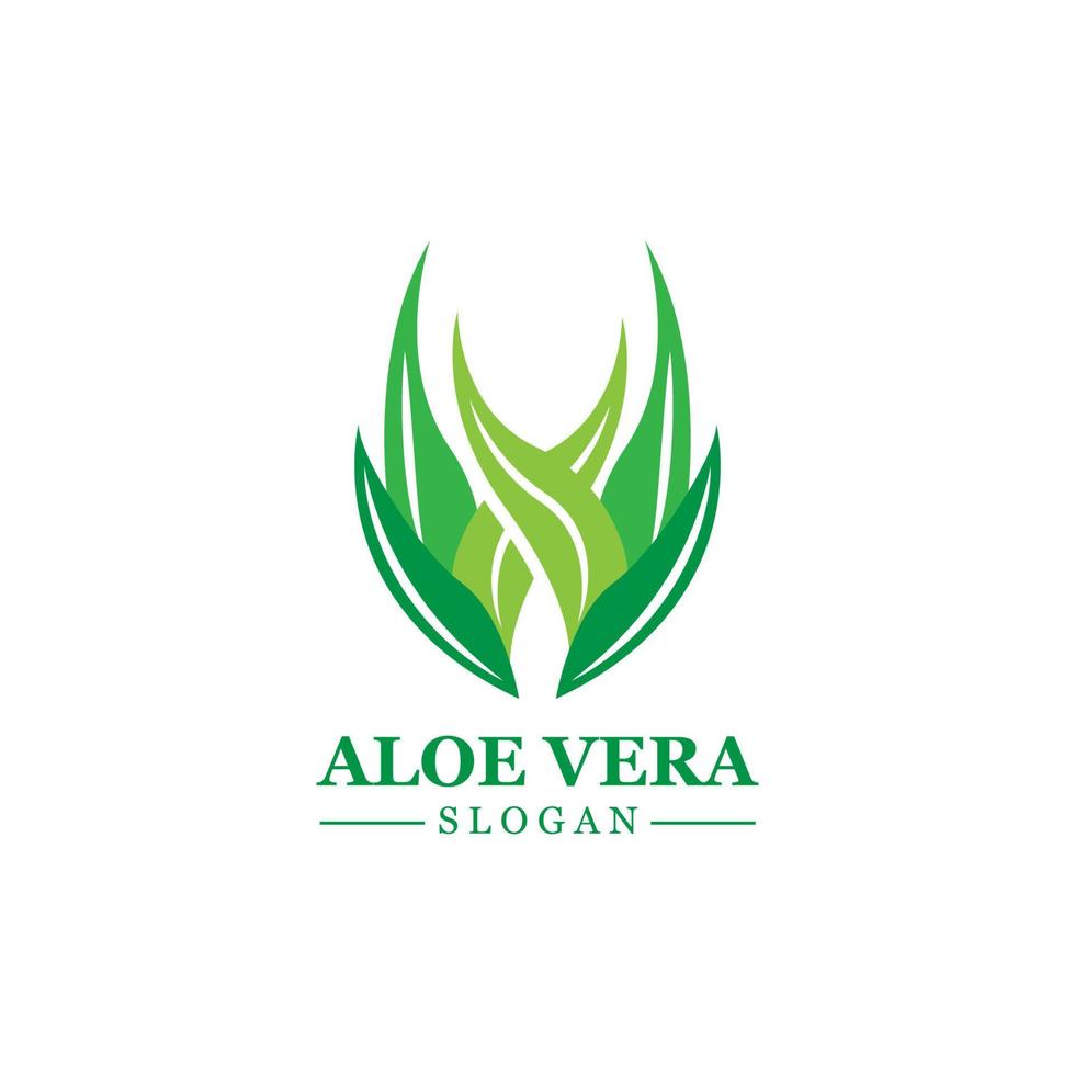 planta verde aloe vera logotipo vetor ícone símbolo muitos benefícios