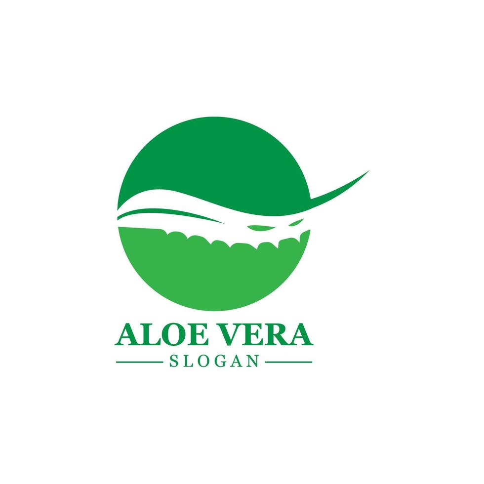 planta verde aloe vera logotipo vetor ícone símbolo muitos benefícios