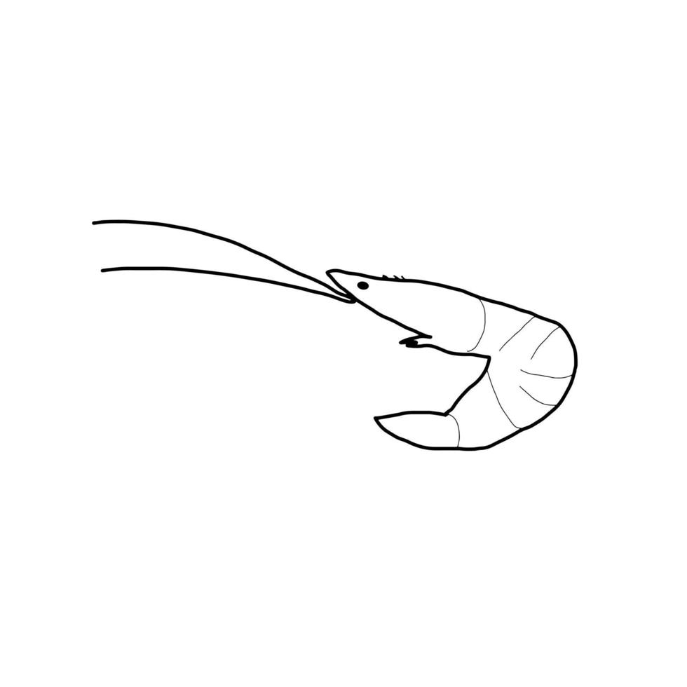 sob o mar camarão animal ambiente natural doodle vetor