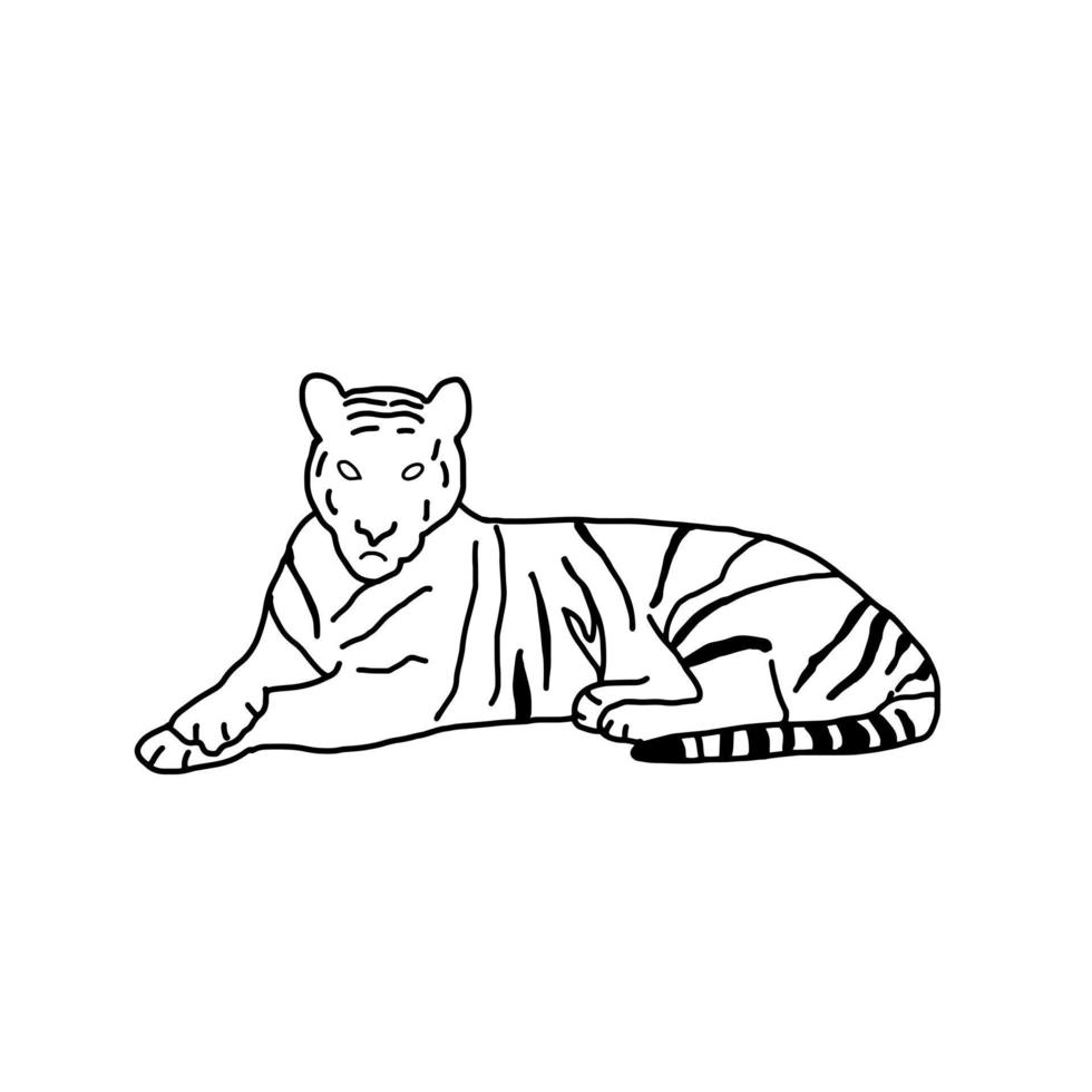 animal tigre na floresta doodle de linha orgânica desenhada à mão vetor