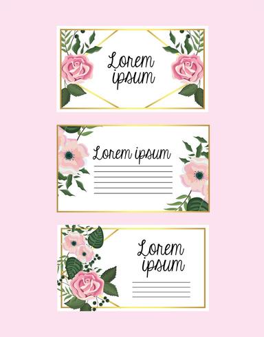 conjunto de cartões com flores e rosas com galhos de folhas vetor