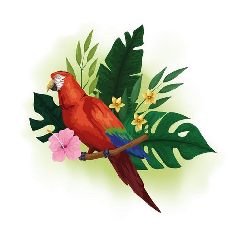 Pássaro vermelho exótico e desenho de flores tropicais vetor