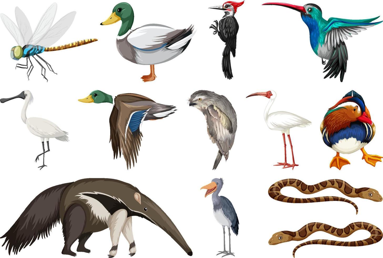 diferentes tipos de coleção de animais vetor