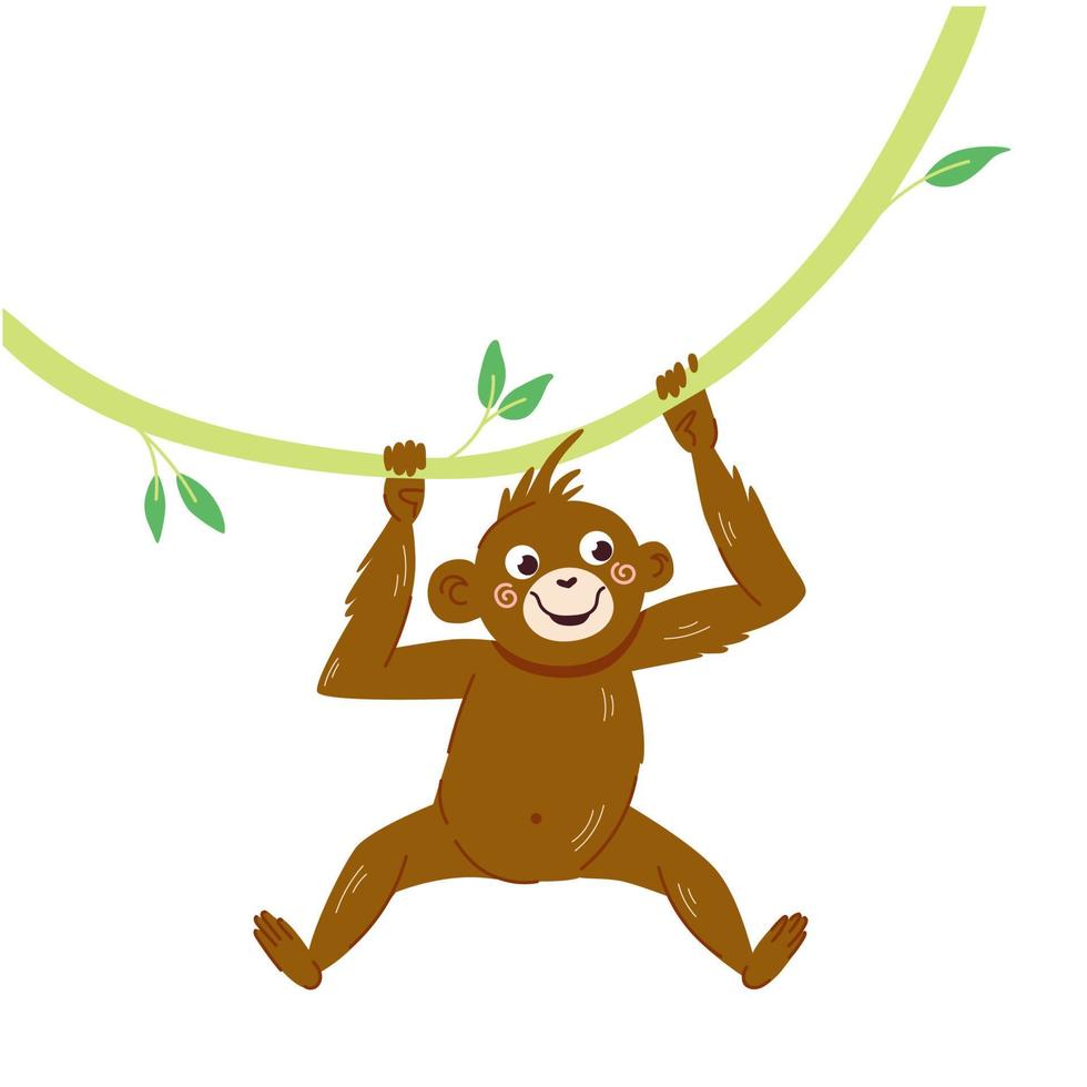 macaco bonito pendurado na ilustração vetorial de liana isolada no fundo branco. animal fofo em estilo cartoon para crianças design vetor