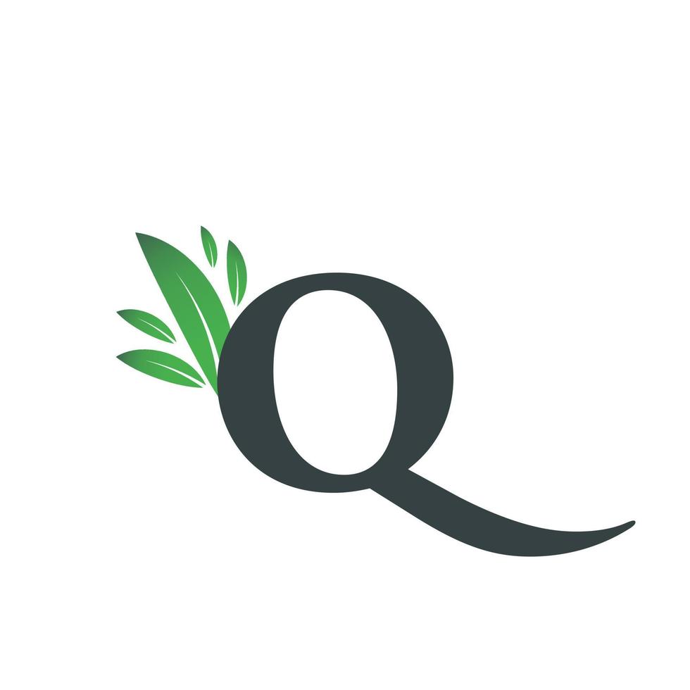 letra inicial q logotipo da folha vetor
