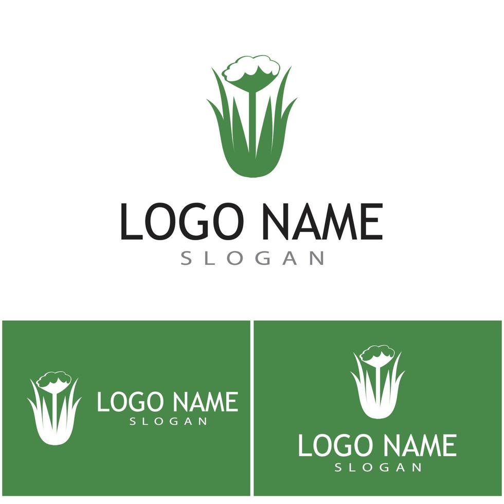 algodão logotipo modelo vetor símbolo natureza