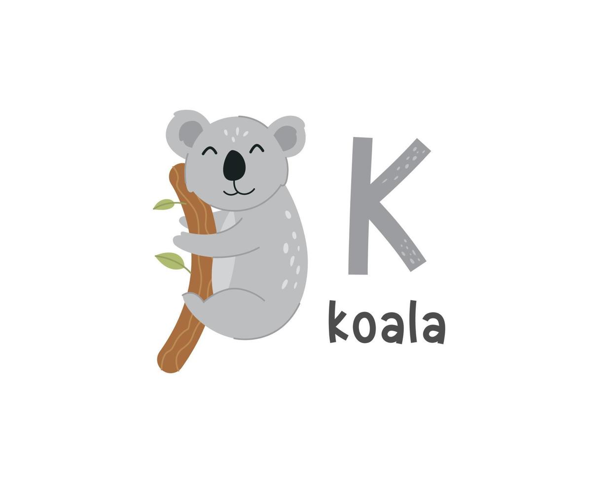 ilustração vetorial da letra k do alfabeto e coala vetor