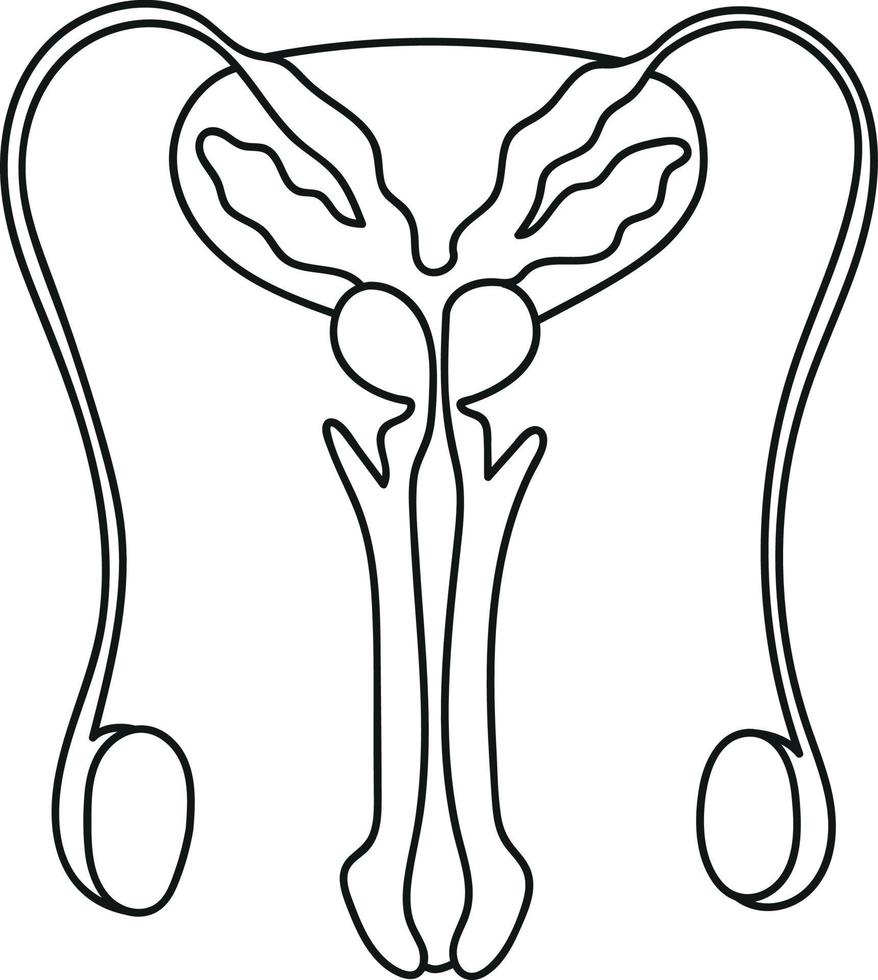 sistema reprodutor masculino em órgãos de estilo doodle humanos vetor