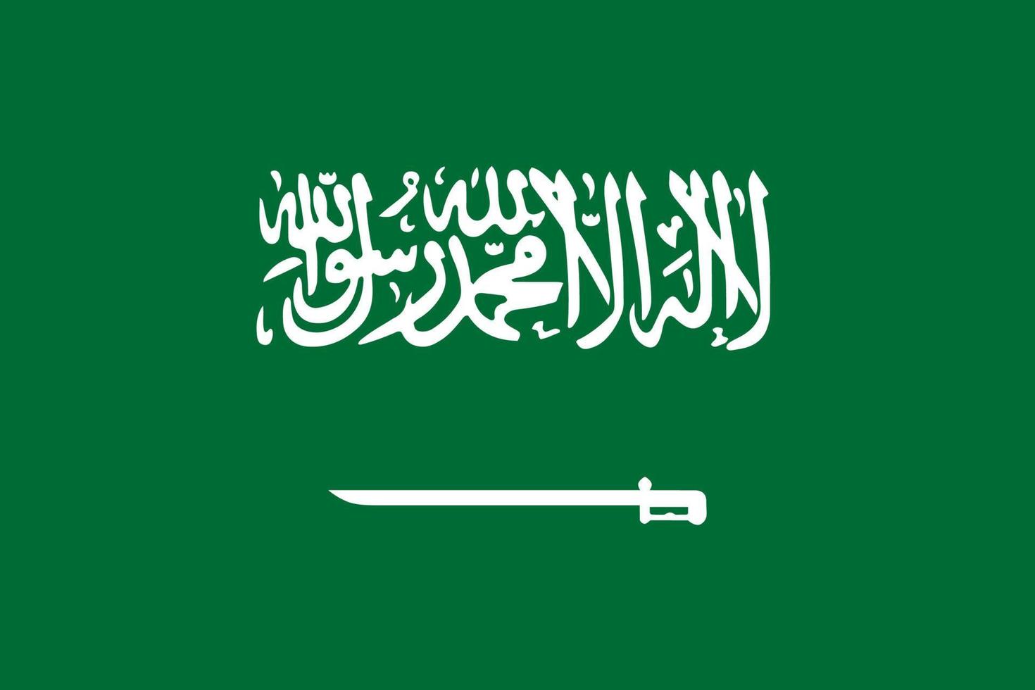 Tamanho padrão da bandeira da arábia saudita na ásia. ilustração vetorial vetor
