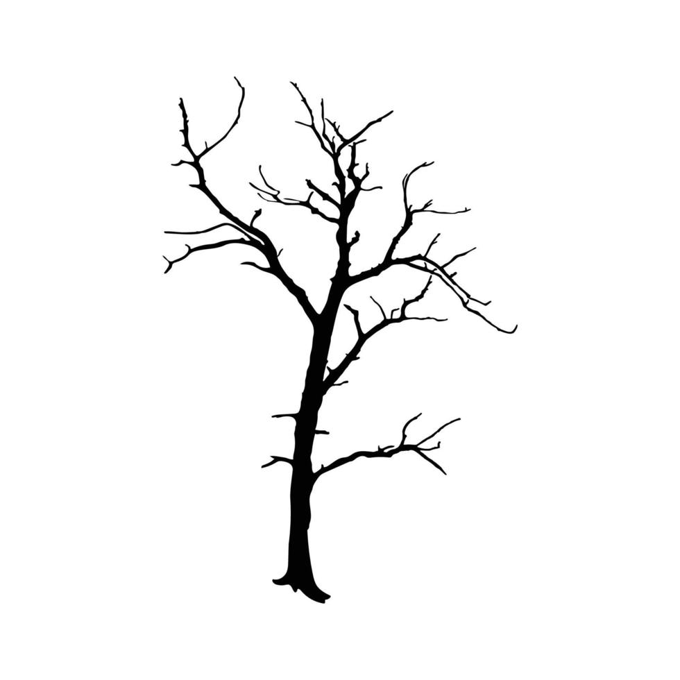 silhueta de árvore no fundo branco vetor