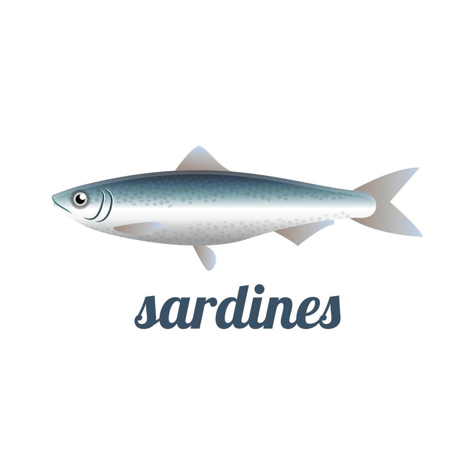 ilustração vetorial isolada de peixe sardinha vetor