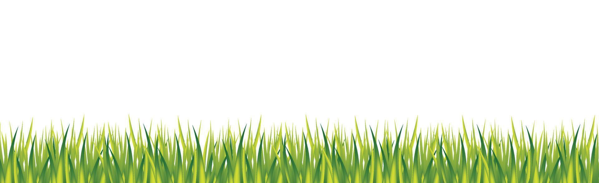 grama verde realista sobre fundo panorâmico branco - vetor