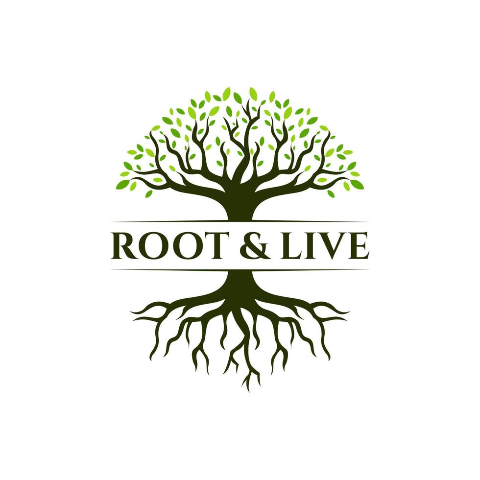 design de logotipo de árvore de raiz. silhueta vetorial de uma árvore. vetor