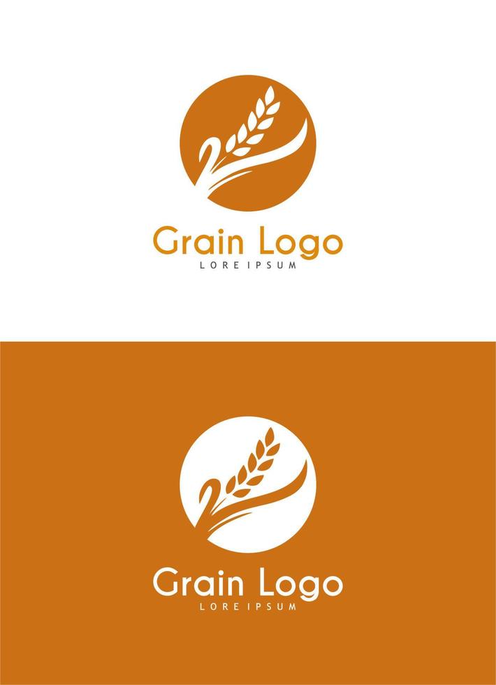 design de logotipo de grãos e trigo vetor