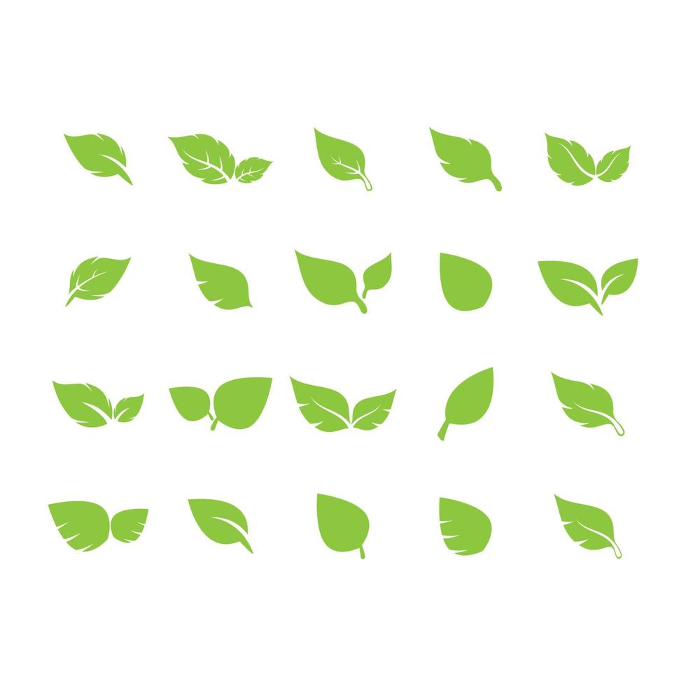 logotipo de símbolo de folha verde exclusivo vetor pacote completo de coleção