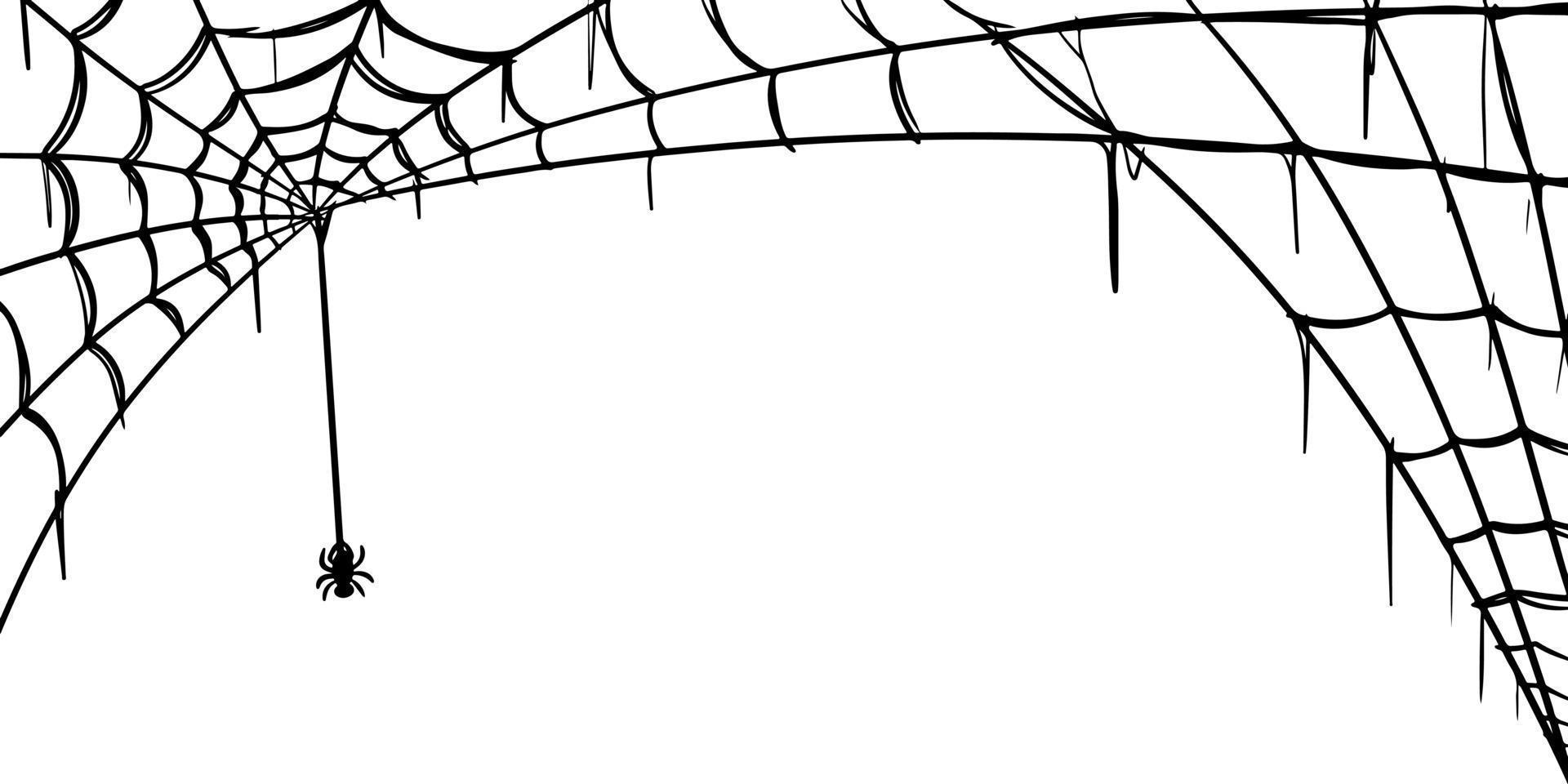 teia de aranha conjunto isolado no fundo branco. doodle ilustração vetorial de teia de aranha. vetor
