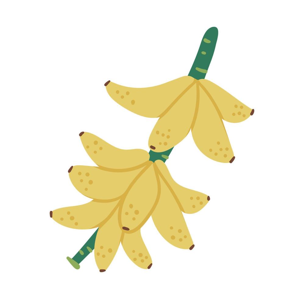 vector clipart de brunch de frutas tropicais banana. ilustração de folhagem da selva. planta exótica plana desenhada à mão isolada no fundo branco. ilustração de comida de verão saudável infantil brilhante.