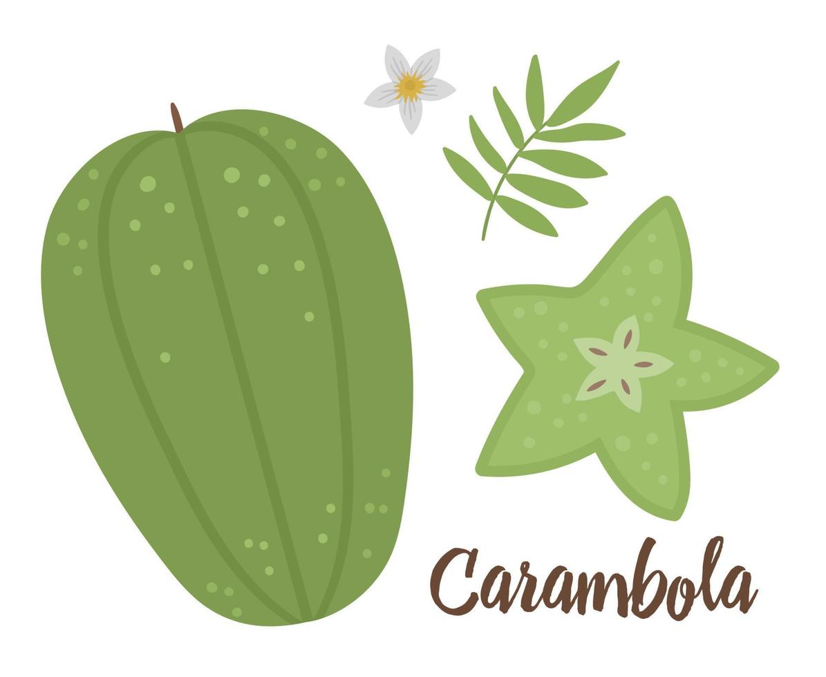 clipart de carambola vetorial. ilustração de frutas da selva. plantas exóticas planas desenhadas à mão isoladas no fundo branco. ilustração de comida de verão tropical saudável infantil brilhante. vetor