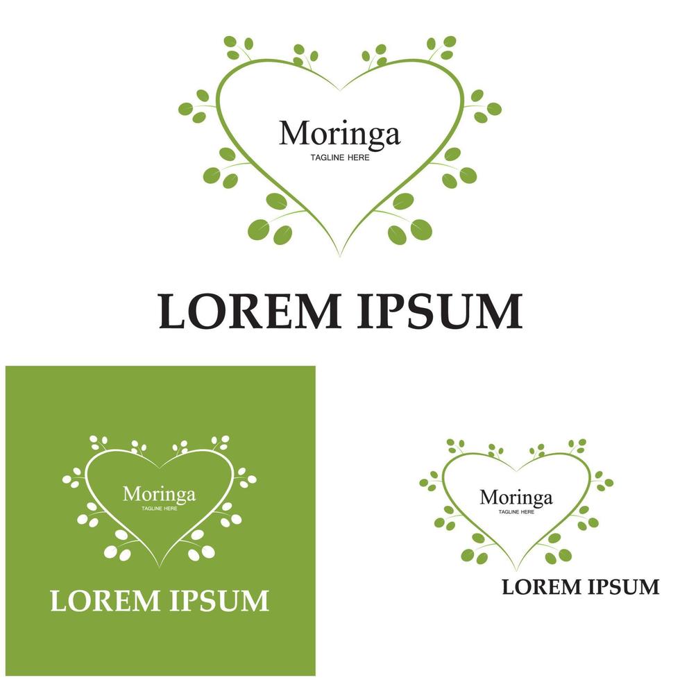 design de vetor de ilustração de logotipo de folha de moringa