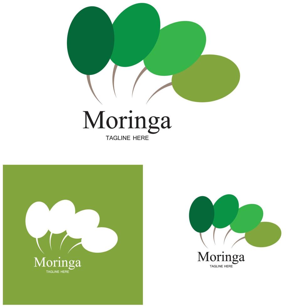 design de vetor de ilustração de logotipo de folha de moringa