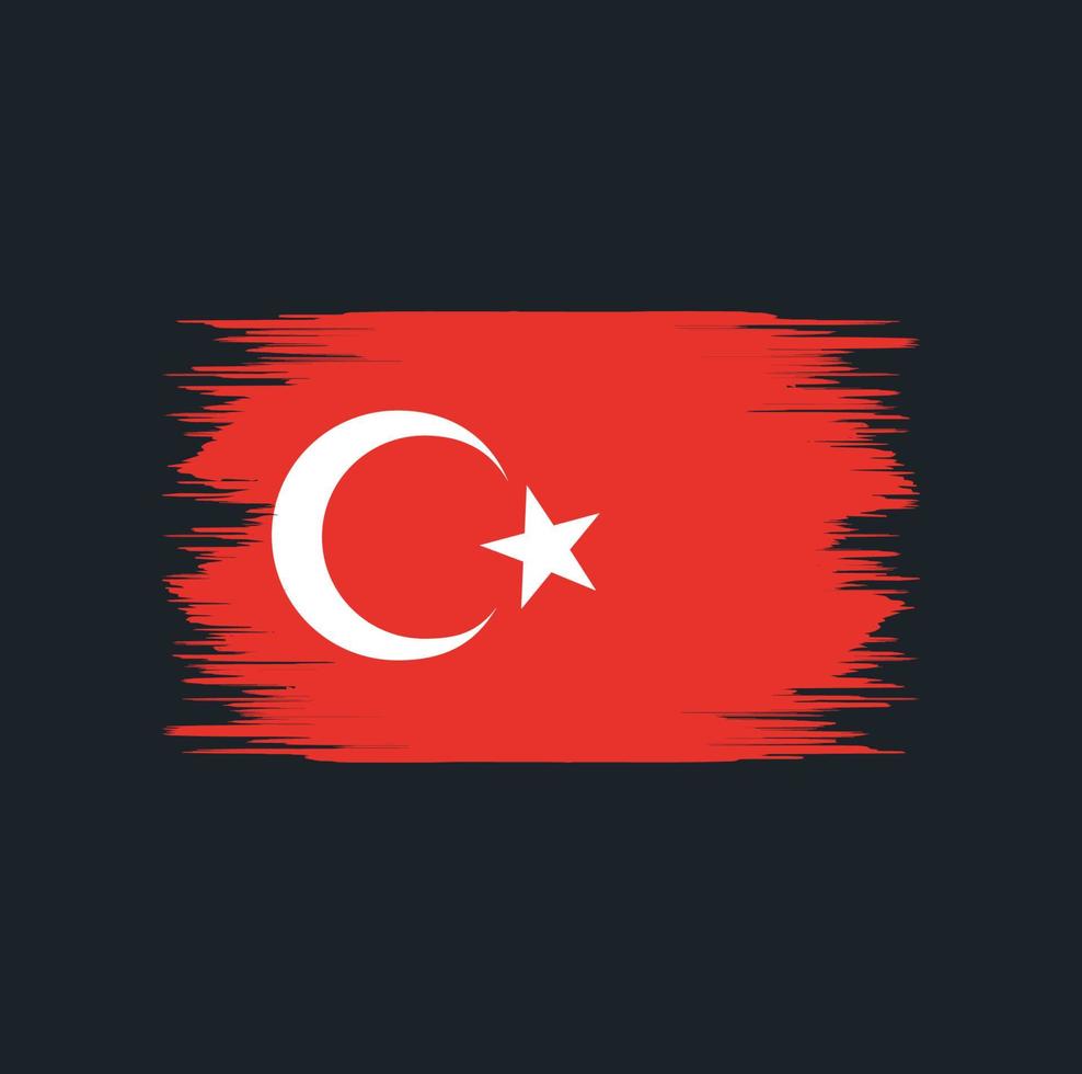 escova de bandeira turquia vetor