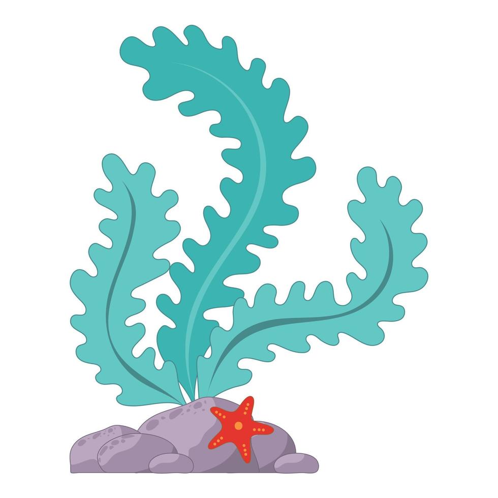 ilustração em vetor de algas verdes em uma rocha, com uma estrela do mar.