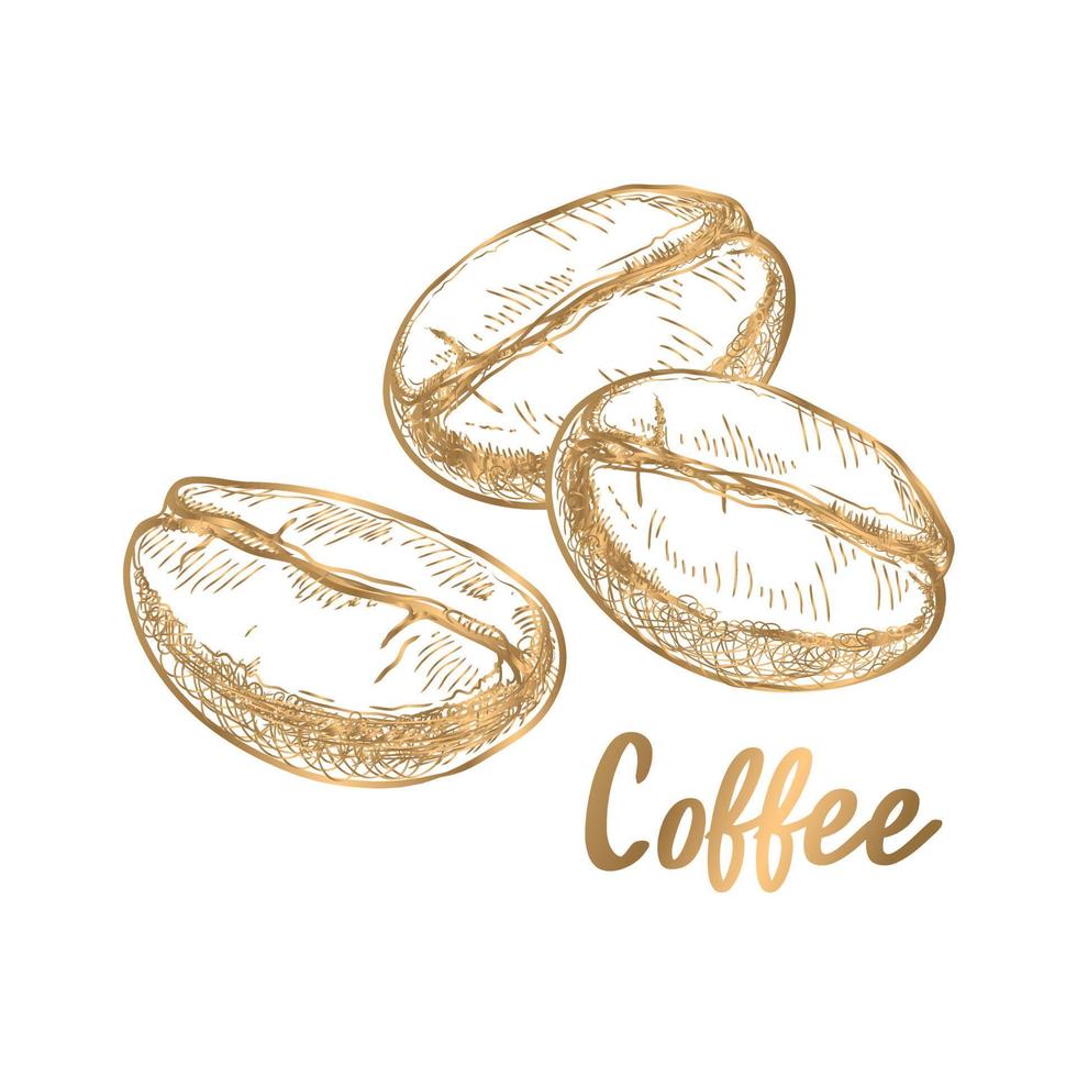 vetor. grãos de café com listras douradas em um fundo branco vetor