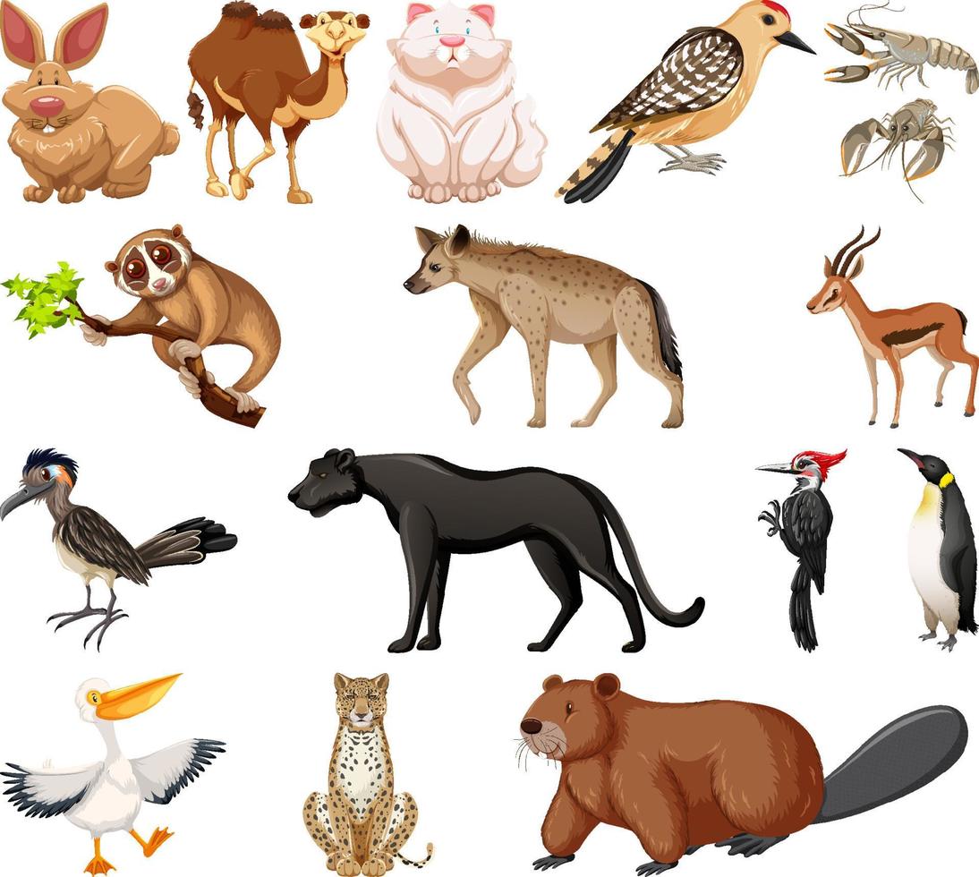 diferentes tipos de coleção de animais vetor