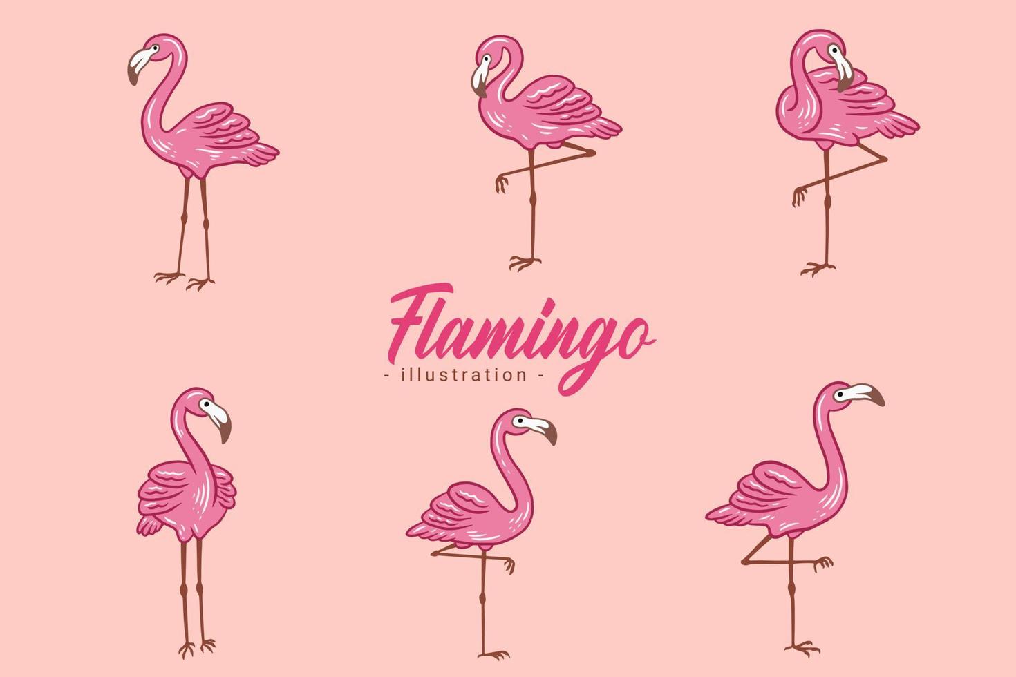 conjunto de flamingo bonito pássaro rosa flamingos estética tropical exótica coleção de estilo plano desenhado à mão vetor