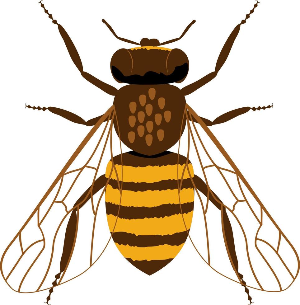desenho de abelha de mel plano vetor