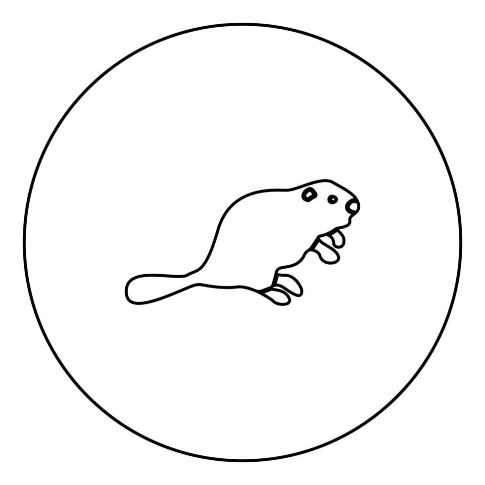 ícone de castor preto no contorno do círculo vetor