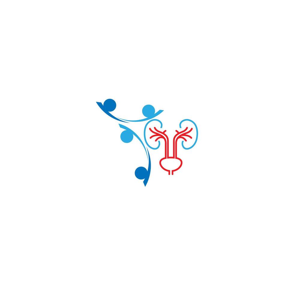 logotipo de urologia, ícone do logotipo do rim saudável vetor