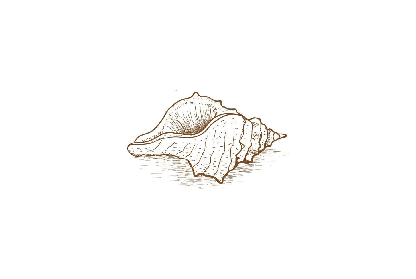 retrô vintage mão desenhar esboço oceano concha nautilus logotipo vetor de design