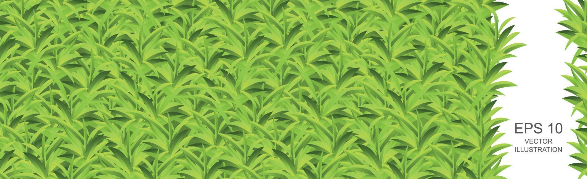 textura de padrão de fundo panorâmico de prado de grama verde claro realista - vetor
